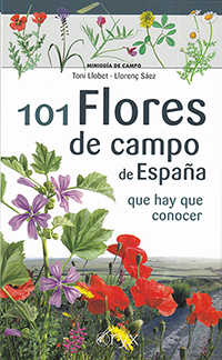 101 Flores de campo de España que hay que conocer