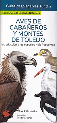 Aves de Cabañeros y Montes de Toledo. Introducción a las especies más frecuentes (Guías desplegables Tundra)