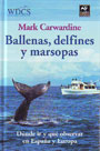 Ballenas, delfines y marsopas. Dónde ir y qué observar en España y Europa