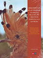 Características de la comunidad de aves del Valle del Río Cidacos en Santa Eulalia (La Rioja)