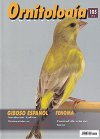 Ornitología Práctica. Nº 105. Giboso Español Fenoma